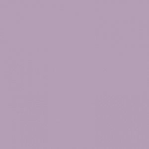 Meet your Posher, Brynn